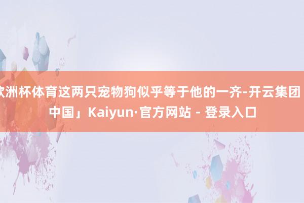 欧洲杯体育这两只宠物狗似乎等于他的一齐-开云集团「中国」Kaiyun·官方网站 - 登录入口