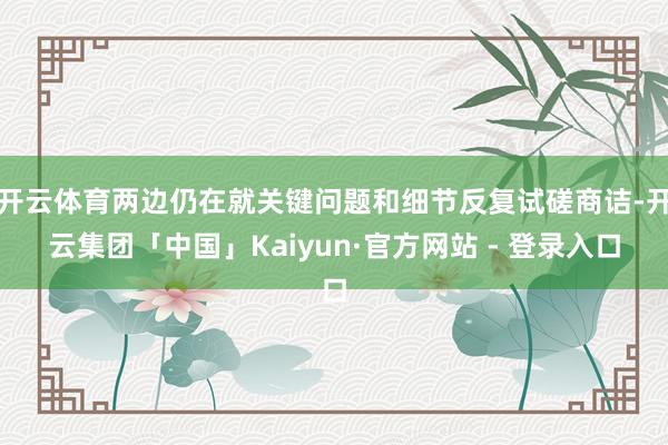 开云体育两边仍在就关键问题和细节反复试磋商诘-开云集团「中国」Kaiyun·官方网站 - 登录入口