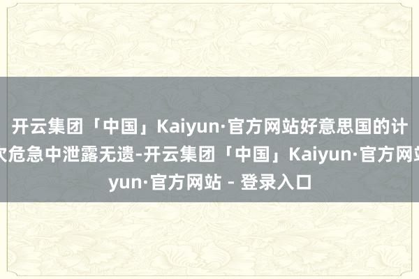 开云集团「中国」Kaiyun·官方网站好意思国的计谋窘境在这次危急中泄露无遗-开云集团「中国」Kaiyun·官方网站 - 登录入口