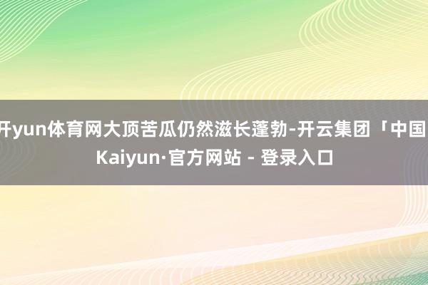 开yun体育网大顶苦瓜仍然滋长蓬勃-开云集团「中国」Kaiyun·官方网站 - 登录入口