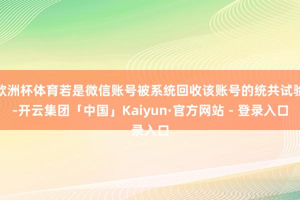 欧洲杯体育若是微信账号被系统回收该账号的统共试验-开云集团「中国」Kaiyun·官方网站 - 登录入口