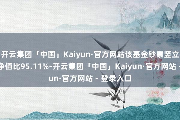 开云集团「中国」Kaiyun·官方网站该基金钞票竖立：股票占净值比95.11%-开云集团「中国」Kaiyun·官方网站 - 登录入口