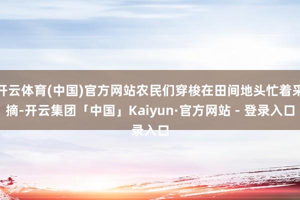 开云体育(中国)官方网站农民们穿梭在田间地头忙着采摘-开云集团「中国」Kaiyun·官方网站 - 登录入口