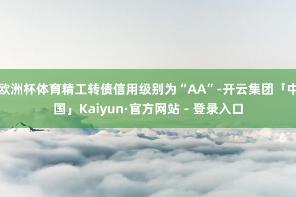 欧洲杯体育精工转债信用级别为“AA”-开云集团「中国」Kaiyun·官方网站 - 登录入口